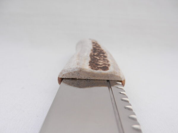 Natural Sgian Brew in Red Deer Stag Antler with Wych Elm centre