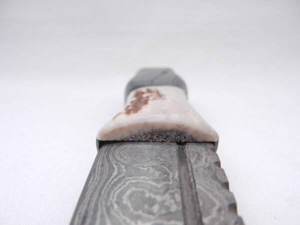 DSCN3251 Scottish Bog Oak and Natural Antler Damascus Sgian Dubh