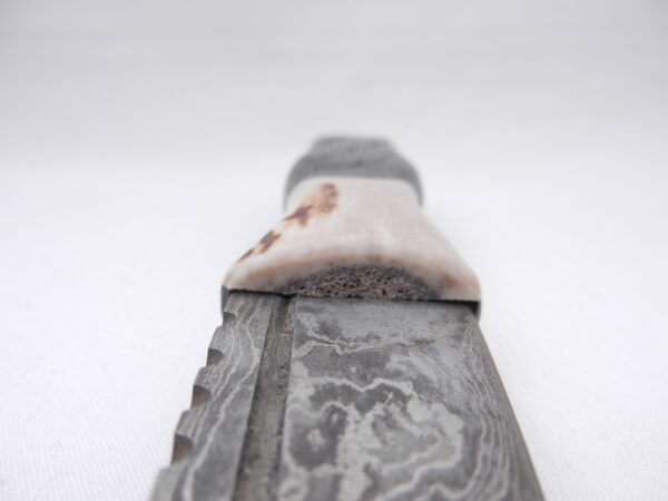 DSCN3252 Scottish Bog Oak and Natural Antler Damascus Sgian Dubh