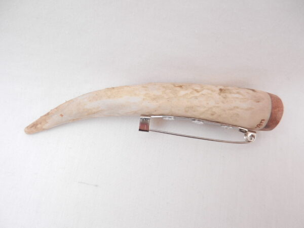 DSCN3282 Scottish Red Deer Antler Kilt Pin with Burr Wych Elm