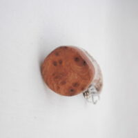 Scottish Red Deer Antler Kilt Pin with Burr Wych Elm