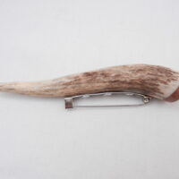 Scottish Red Deer Antler Kilt Pin with Burr Wych Elm