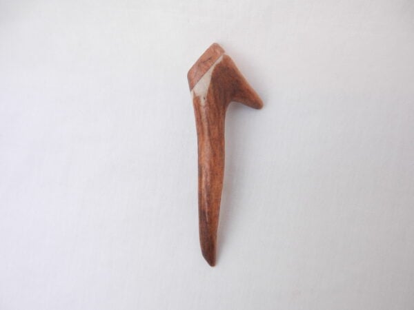 DSCN3290 Scottish Roe Buck Antler Kilt Pin with Burr Wych Elm