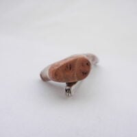 DSCN3291 Scottish Roe Buck Antler Kilt Pin with Burr Wych Elm