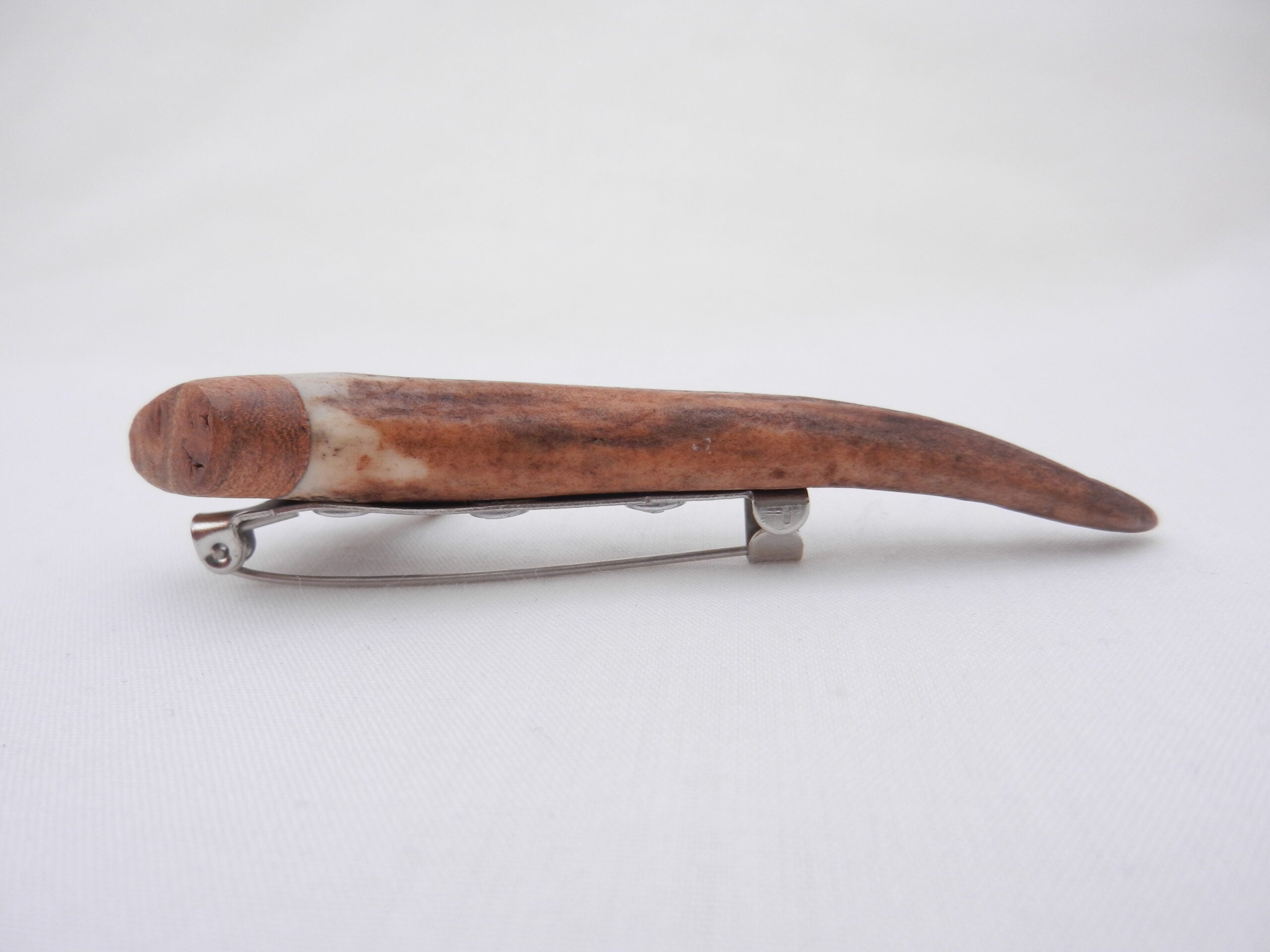 DSCN3292 Scottish Roe Buck Antler Kilt Pin with Burr Wych Elm