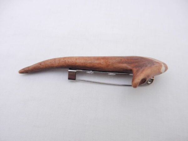 DSCN3293 Scottish Roe Buck Antler Kilt Pin with Burr Wych Elm