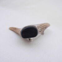 DSCN3296 Scottish Roe Buck Antler Kilt Pin with Bog Oak