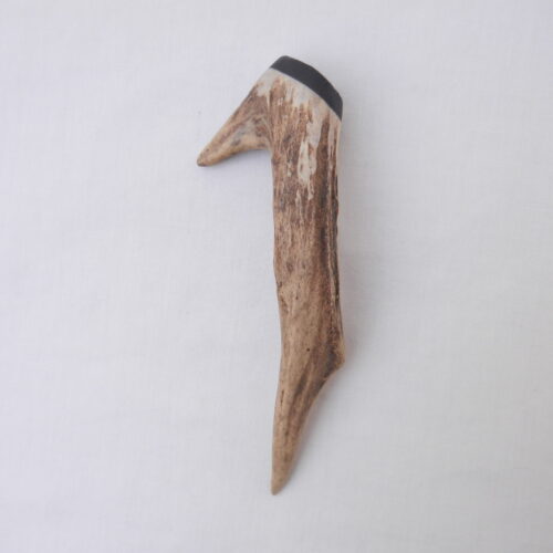 DSCN3300 Scottish Roe Buck Antler Kilt Pin with Bog Oak