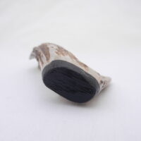 DSCN3301 Scottish Roe Buck Antler Kilt Pin with Bog Oak
