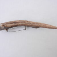 DSCN3303 Scottish Roe Buck Antler Kilt Pin with Bog Oak