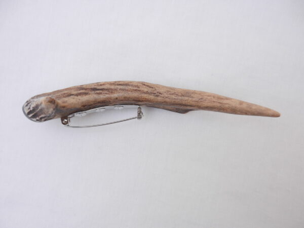 DSCN3303 Scottish Roe Buck Antler Kilt Pin with Bog Oak