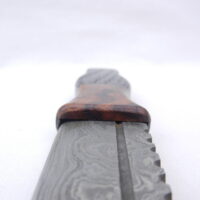 DSCN3386 Bog Oak and Desert Ironwood Burr Damascus Steel Sgian Brew
