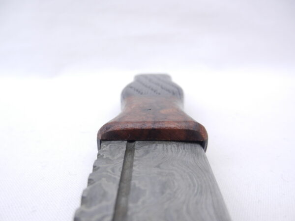 DSCN3387 Bog Oak and Desert Ironwood Burr Damascus Steel Sgian Brew