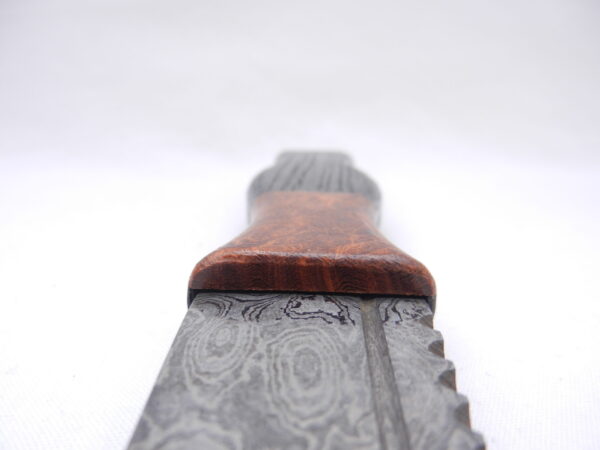 DSCN3393 Special Listing for Paul Stoneman - Bog Oak and Desert Ironwood Burr Damascus Steel Sgian Brew