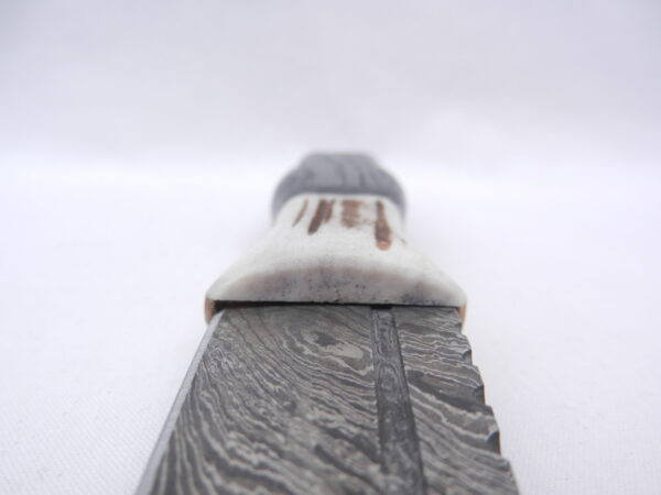 DSCN3408 Special listing for Laura - Scottish Bog Oak and Natural Antler Damascus Sgian Dubh - sharpened