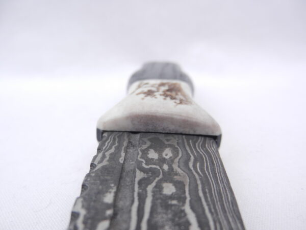Scottish Bog Oak and Natural Antler Damascus Sgian Dubh