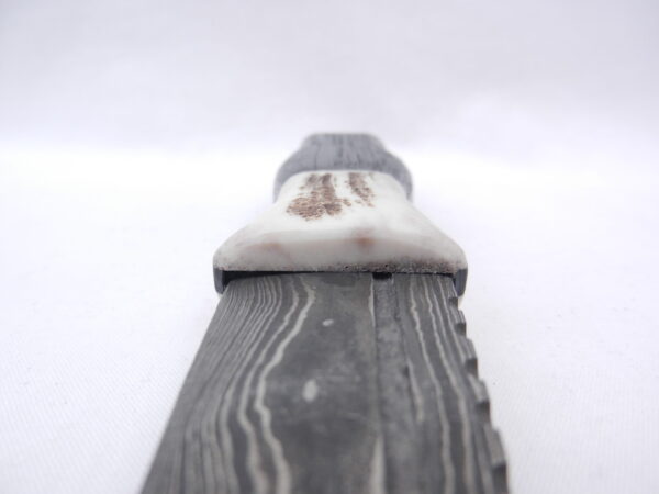 Scottish Bog Oak and Natural Antler Damascus Sgian Dubh