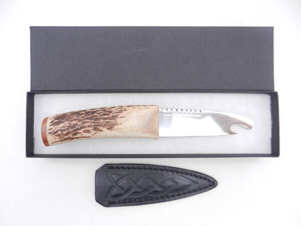 DSCN3433 Scottish Red Deer Antler and Burr Wych Elm Sgian Brew, Scottish gift, bottle opener