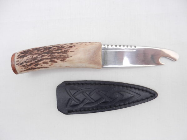 DSCN3434 Scottish Red Deer Antler and Burr Wych Elm Sgian Brew, Scottish gift, bottle opener
