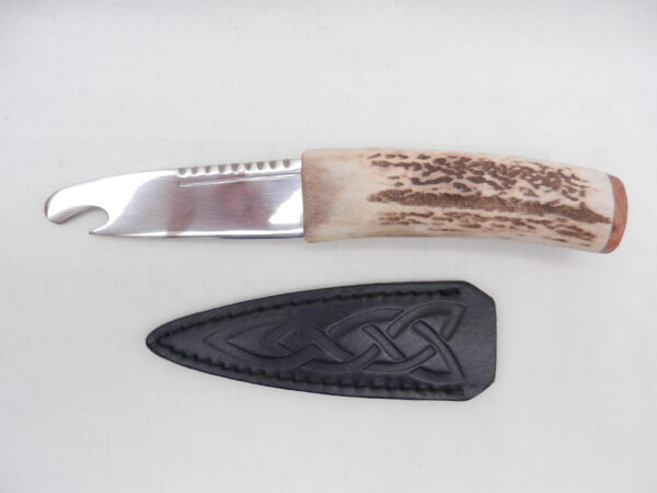 DSCN3435 Scottish Red Deer Antler and Burr Wych Elm Sgian Brew, Scottish gift, bottle opener