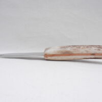 DSCN3436 Scottish Red Deer Antler and Burr Wych Elm Sgian Brew, Scottish gift, bottle opener
