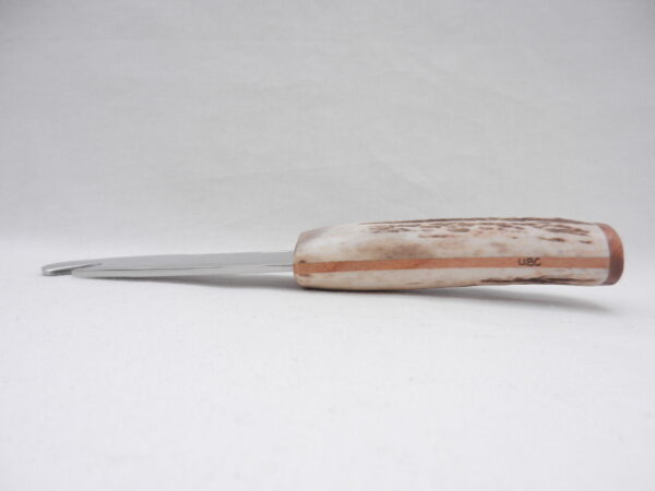 DSCN3436 Scottish Red Deer Antler and Burr Wych Elm Sgian Brew, Scottish gift, bottle opener