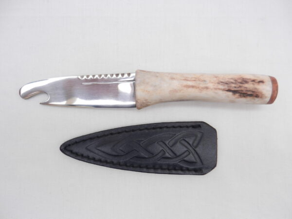 Scottish Red Deer Antler and Burr Wych Elm Sgian Brew, Scottish gift, bottle opener