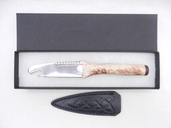 DSCN3448 Scottish Red Deer Antler and Snakewood Sgian Brew, Scottish gift, bottle opener