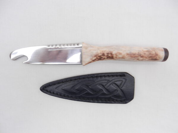 DSCN3449 Scottish Red Deer Antler and Snakewood Sgian Brew, Scottish gift, bottle opener