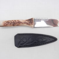 DSCN3450 Scottish Red Deer Antler and Snakewood Sgian Brew, Scottish gift, bottle opener