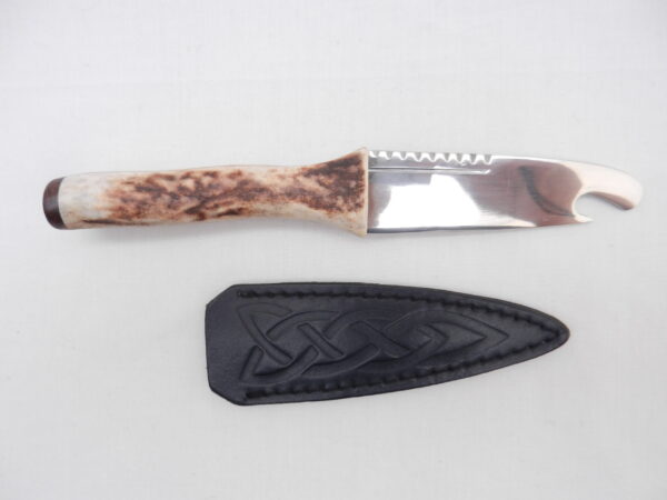 DSCN3450 Scottish Red Deer Antler and Snakewood Sgian Brew, Scottish gift, bottle opener