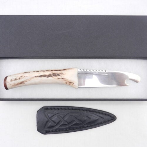 Scottish Red Deer Antler and Snakewood Sgian Brew, Scottish gift, bottle opener