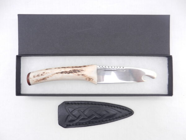 DSCN3455 Scottish Red Deer Antler and Snakewood Sgian Brew, Scottish gift, bottle opener