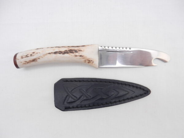 DSCN3456 Scottish Red Deer Antler and Snakewood Sgian Brew, Scottish gift, bottle opener