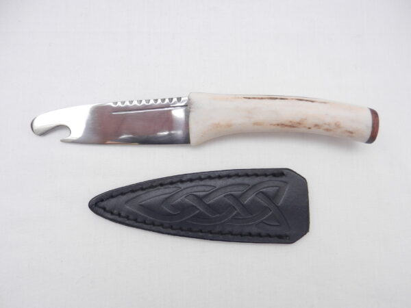 DSCN3457 Scottish Red Deer Antler and Snakewood Sgian Brew, Scottish gift, bottle opener