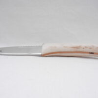DSCN3458 Scottish Red Deer Antler and Snakewood Sgian Brew, Scottish gift, bottle opener