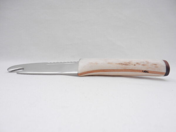 DSCN3458 Scottish Red Deer Antler and Snakewood Sgian Brew, Scottish gift, bottle opener