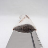 DSCN3460 Scottish Red Deer Antler and Snakewood Sgian Brew, Scottish gift, bottle opener