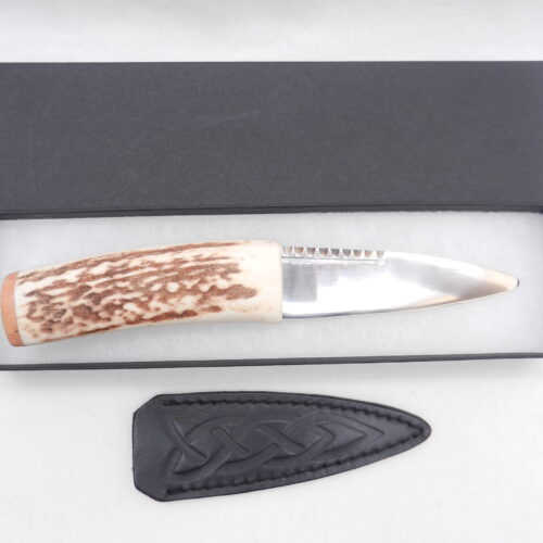 Natural Sgian Dubh in Scottish Red Deer Stag Antler and Burr Wych Elm Sapwood