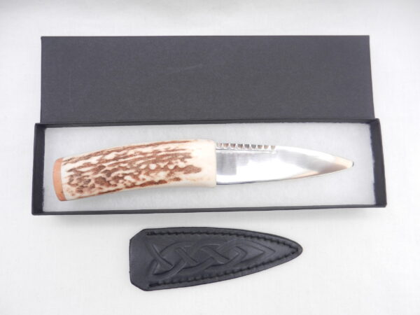 Natural Sgian Dubh in Scottish Red Deer Stag Antler and Burr Wych Elm Sapwood