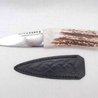 Natural Sgian Dubh in Scottish Red Deer Stag Antler and Burr Wych Elm Sapwood