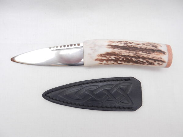 Natural Sgian Dubh in Scottish Red Deer Stag Antler and Burr Wych Elm Sapwood