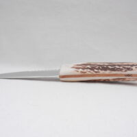 Natural Sgian Dubh in Scottish Red Deer Stag Antler and Burr Wych Elm Sapwood