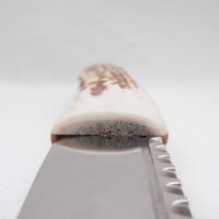 Natural Sgian Dubh in Scottish Red Deer Stag Antler and Burr Wych Elm Sapwood