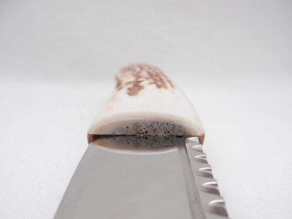 Natural Sgian Dubh in Scottish Red Deer Stag Antler and Burr Wych Elm Sapwood