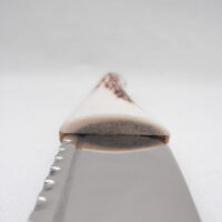 DSCN3474 Natural Sgian Dubh in Scottish Red Deer Stag Antler and Bog Oak