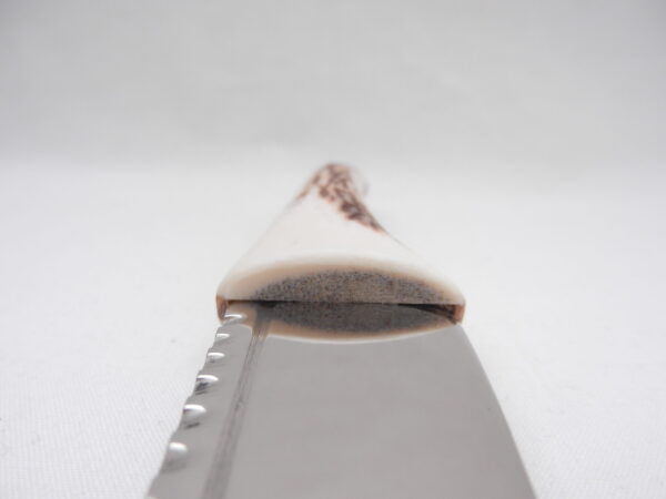 DSCN3474 Natural Sgian Dubh in Scottish Red Deer Stag Antler and Bog Oak