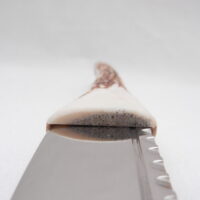 DSCN3475 Natural Sgian Dubh in Scottish Red Deer Stag Antler and Bog Oak