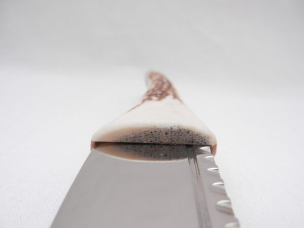 DSCN3475 Natural Sgian Dubh in Scottish Red Deer Stag Antler and Bog Oak