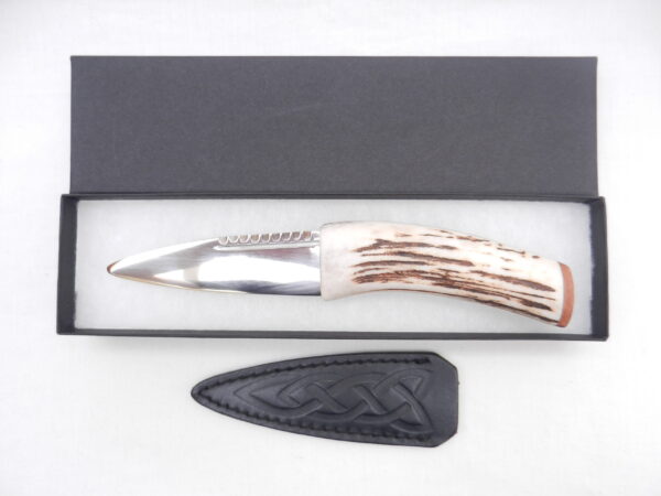 Natural Sgian Dubh in Scottish Red Deer Stag Antler and Burr Wych Elm
